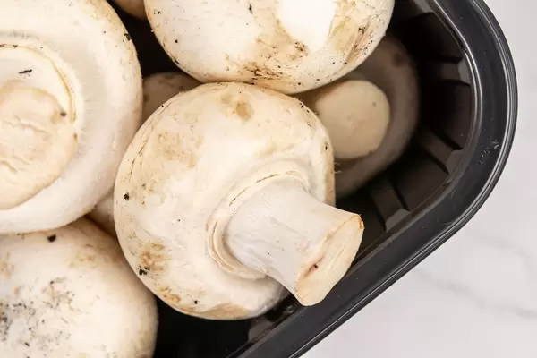 Pilze in einer Plastikverpackung