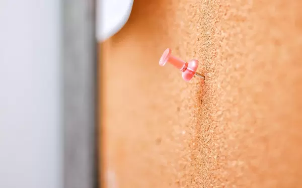 Pin Close-Up on a Board