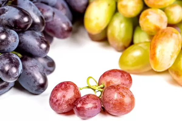 Pink, blue and green grapes