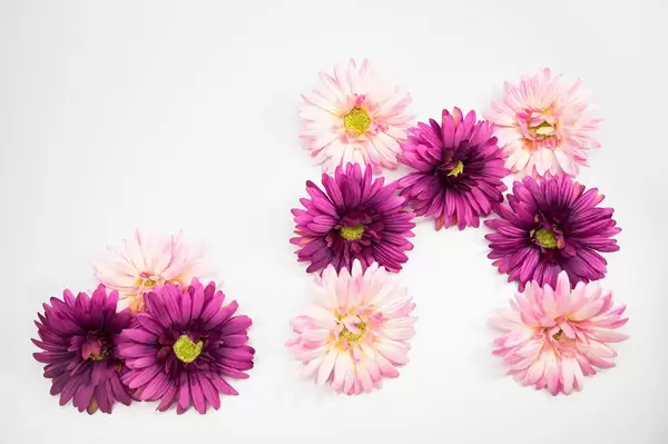 Pink flowers forming the letter M and a dot (Flip 2019)