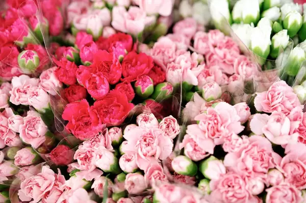 Pinke Mini-Rosen in Sträußen