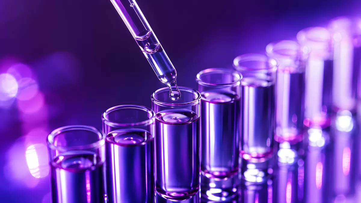 Pipette tropft Flüssigkeit in violett leuchtende Reagenzgläser