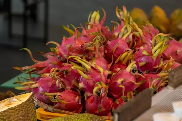 Pitahaya am Danilovsky Market in Moskau