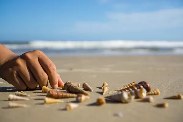 Placing Sea Shells in a Circle in Vung Tau, Vietnam