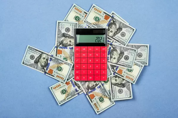 Planning family budget for new 2021 year