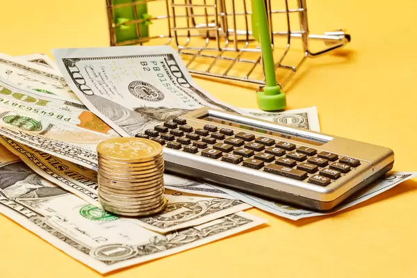 Planning monthly family budget