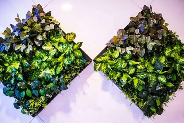 Plant box wall decoration (Flip 2019)