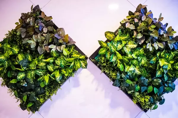 Plant box wall decoration