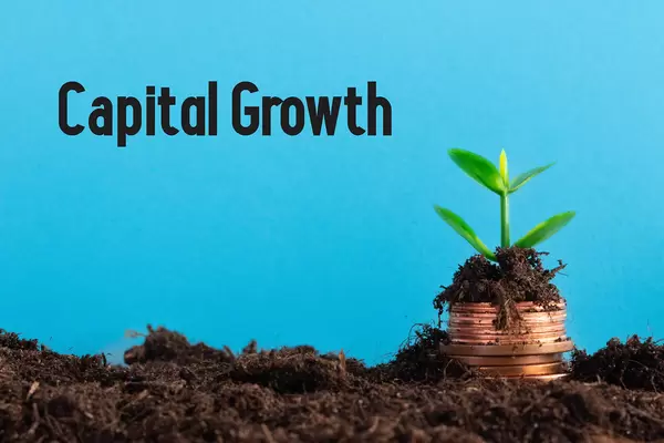 Plant Growing Out Of Coin Stack and Capital Growth text