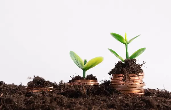 Plants Growing Out Of Coin Stacks