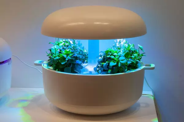 Plantui smart garden device at IFA Berlin 2018