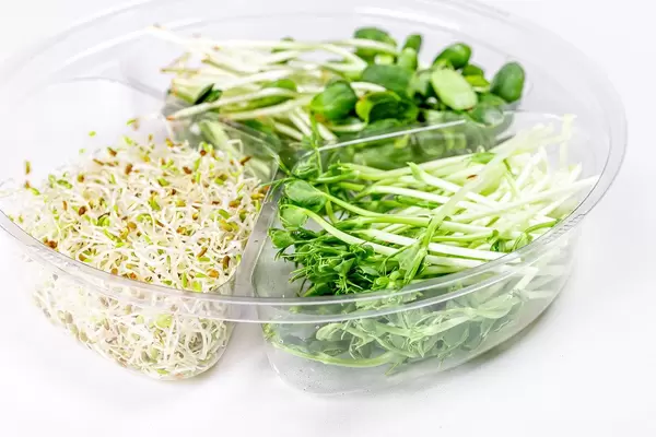 Plastic box with microgreens peas, sunflowers and onions on a white background (Flip 2020)