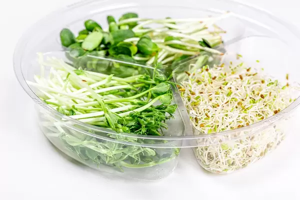 Plastic box with microgreens peas, sunflowers and onions on a white background
