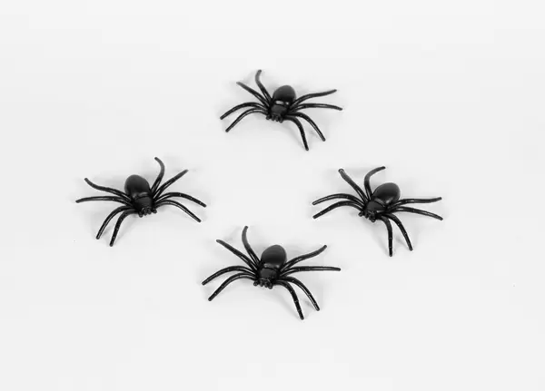 Plastic toy spiders