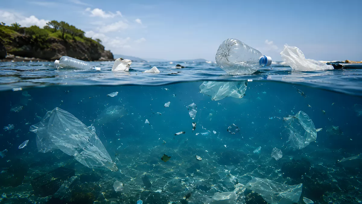Plastik im Meer