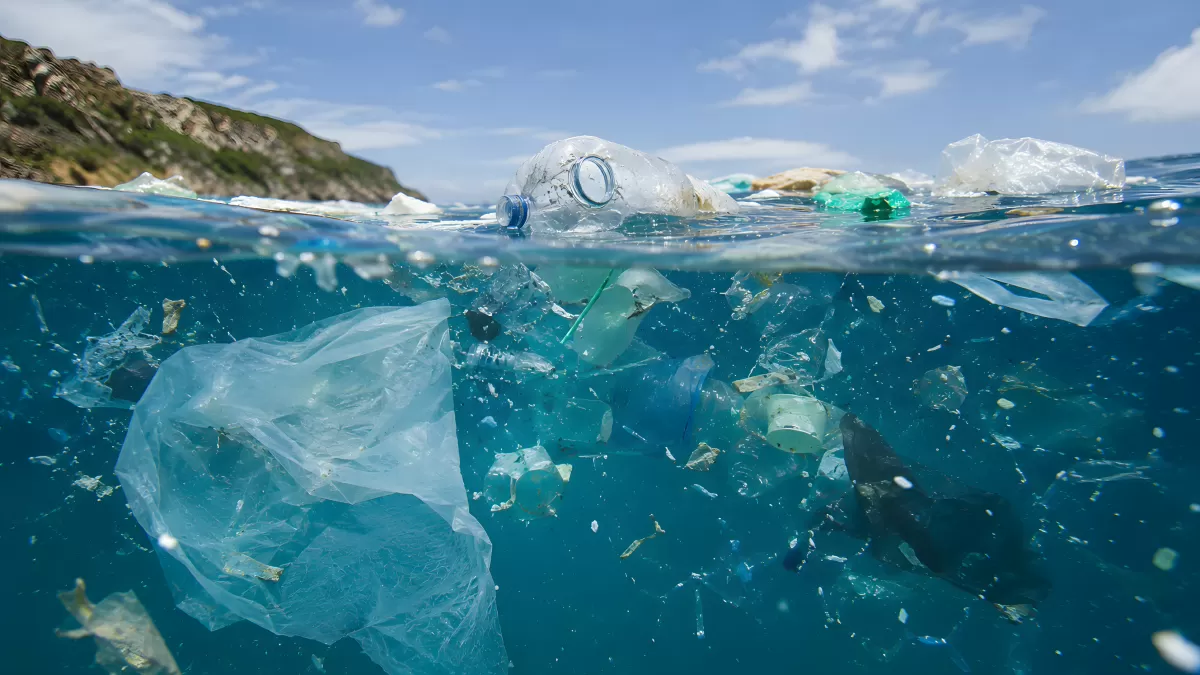 Plastikmüll im Meer – Unterwasser und Oberfläche