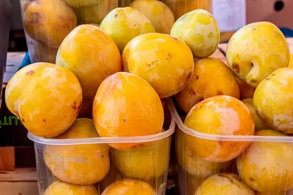 Plastikschalen gefüllt mit reifen gelben Pflaumen