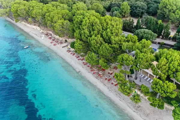 Playa de Formentor: schmaler Strand unter den Kiefern mit Sonnenliegen und Strohsonnenschirmen