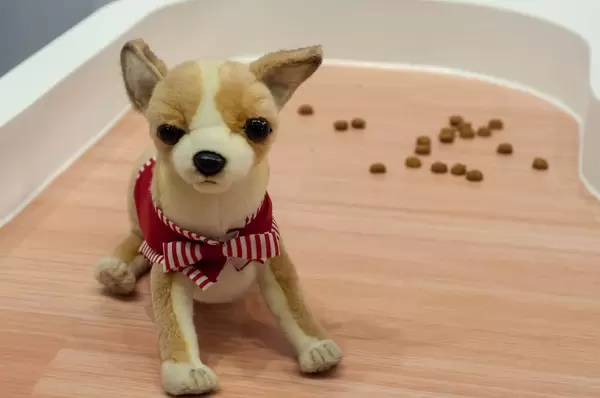 Plüschtier Hund mit Hundenahrung im Hintergrund