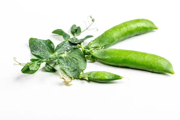 Pods of green peas on the white background