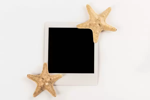 Polaroid photo and two starfishes on white