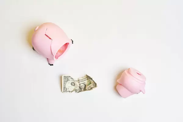 Poor family budget - a broken piggy bank with one dollar
