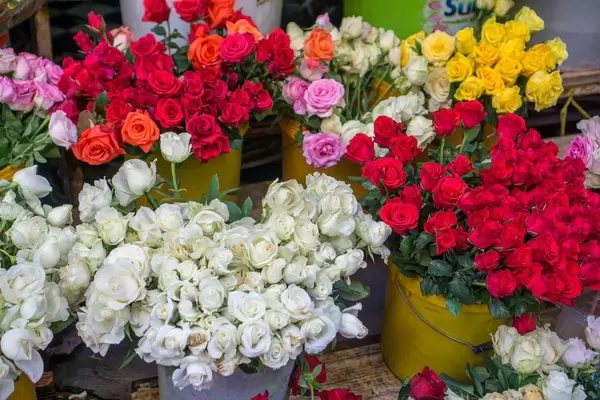 Pots with colorful Roses seen at the Flower Market in Saigon, Vietnam