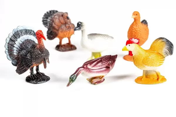 Poultry farm with chickens, turkeys, ducks and geese. Children's toys concept