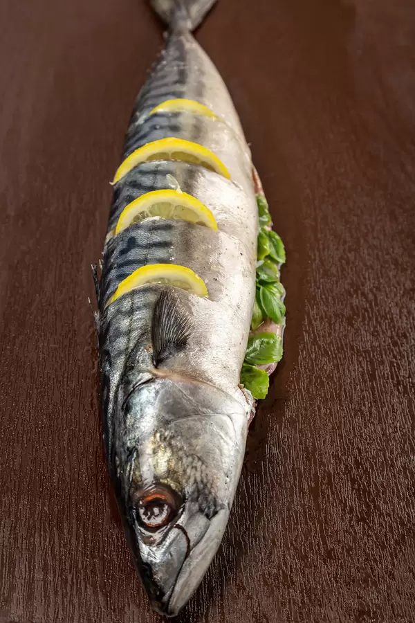 Prepared raw mackerel with basil and lemon for baking
