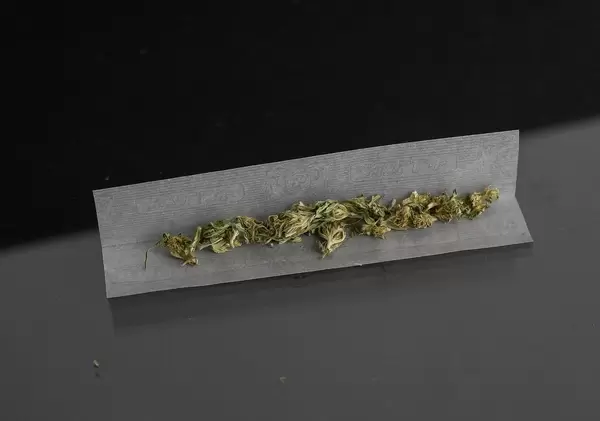 Preparing a Joint in Cigarette Paper on Black Background