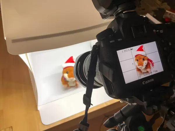 Produktfotografie mit faltbarer Lightbox