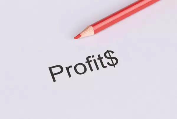 Profit text with red pen on white