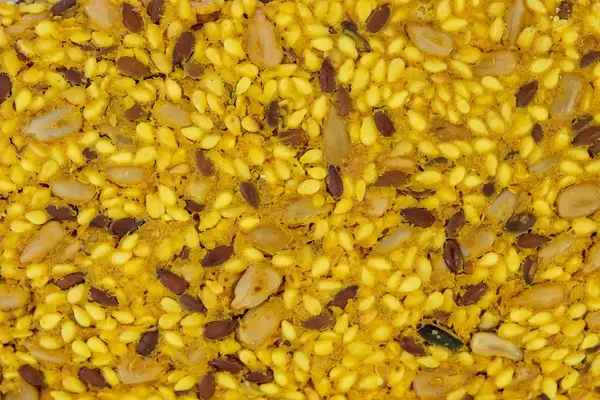 Protein Curcuma Cereals Crackers closeup image (Flip 2019)