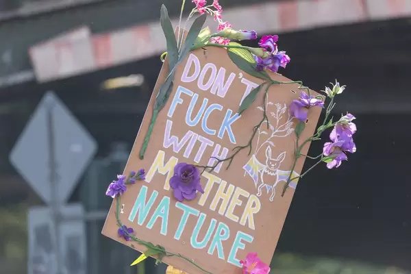 Protest sign says "Don't fuck with Mother Nature" - global Friday climate strike march in Germany