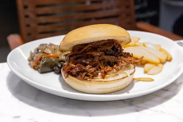 Pulled beef burger with fries and vegetables on white plate