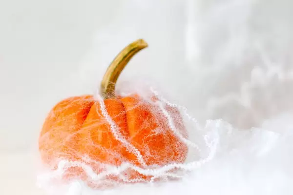 Pumpkin in a Spider Web close-up