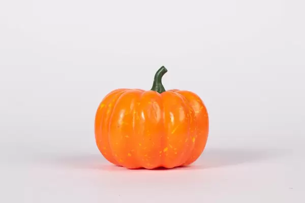 Pumpkin isolated on white background