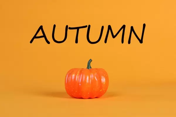 Pumpkin with Autumn text on orange background
