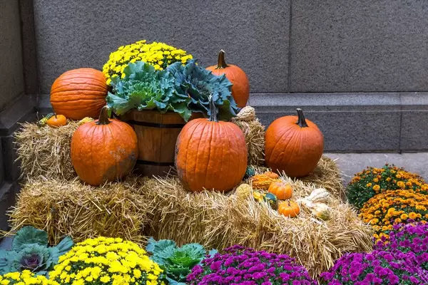 Pumpkins, flowers and hay: colourful Halloween decoration on the streets of Chicago