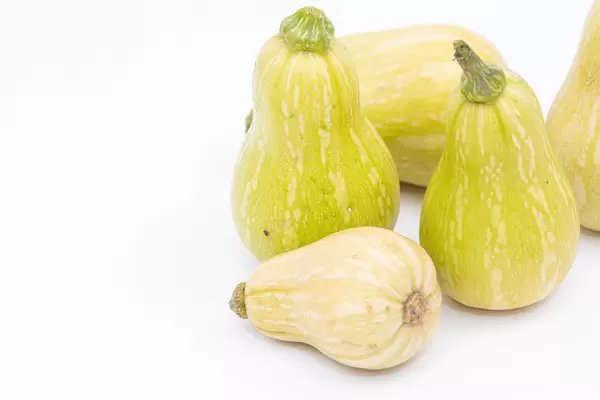 Pumpkins on the white background with copy space