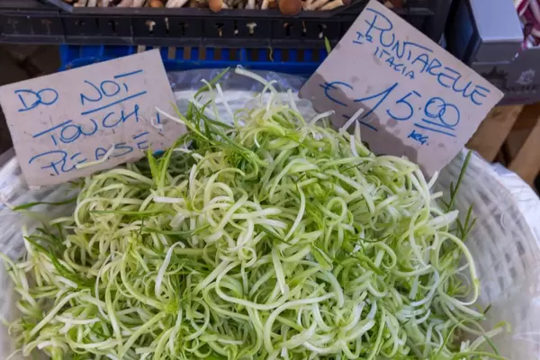 Puntarelle  - Chicorre Sprossen auf dem Markt in Rom, Italien
