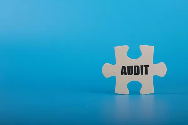 Puzzle piece with Audit text