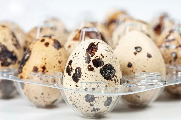 Quail eggs in a transparent plastic container (Flip 2020)