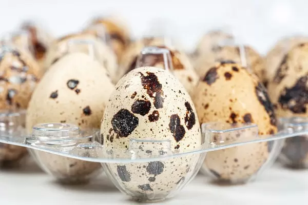 Quail eggs in a transparent plastic container
