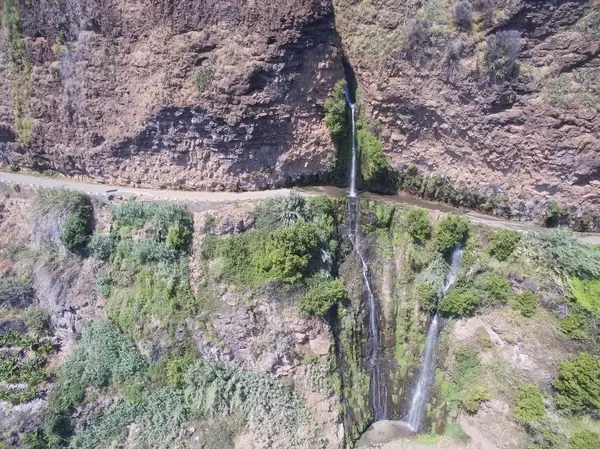 Quelle entlang der Levada des 25 Fontes auf Madeira
