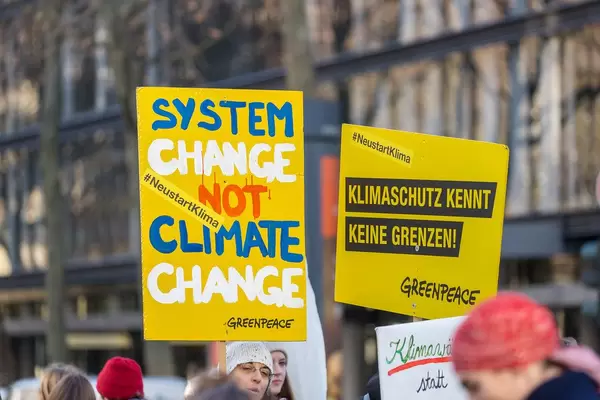 "System change not climate change" und "Klimaschutz kennt keine Grenzen" auf den Plakaten der Demonstranten bei Fridays for Future