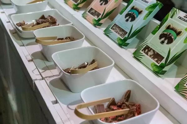 Racoon Bio Protein Schokolade in verschiedenen Sorten zum probieren