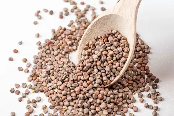 Radish seeds for growing micro greens with a wooden spoon on a white background (Flip 2020)