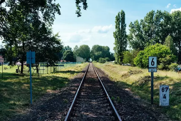 Railroad tracks in German countryside going through a tunnel formed by trees