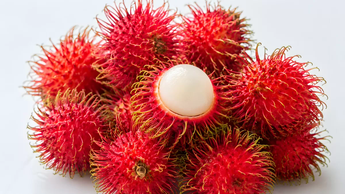 Rambutan-Früchte mit geöffneter weißer Fruchtfleisch-Kugel
